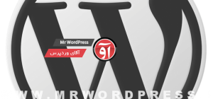 wordpress-logo-grey-768x360-590x276